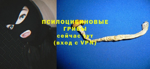 MESCALINE Аркадак