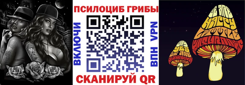 Псилоцибиновые грибы GOLDEN TEACHER Перевоз
