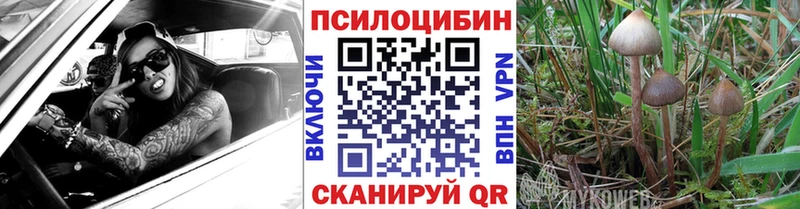 Галлюциногенные грибы Psilocybine cubensis  ОМГ ОМГ маркетплейс  Перевоз 